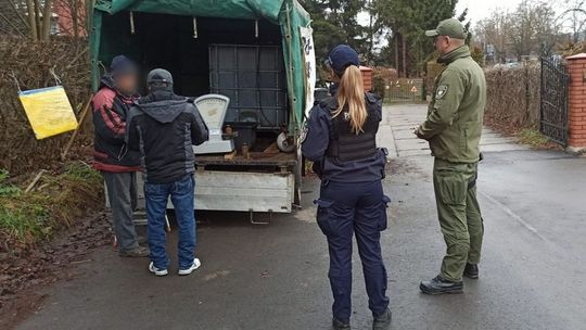 Krośnieńscy mundurowi sprawdzają legalność handlu karpiem