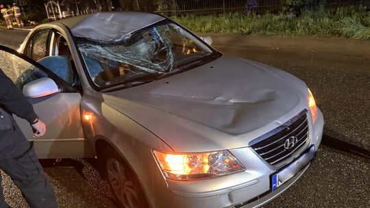 Krosno. Konar spadł na jadący samochód