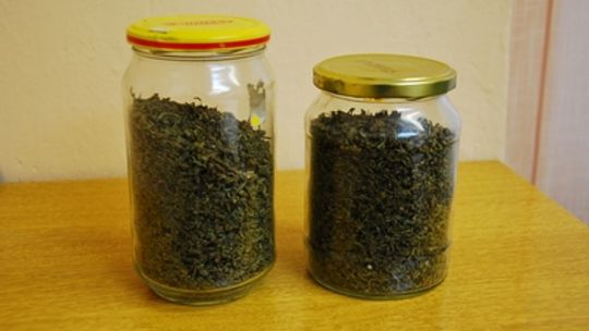 Krosno: Marihuana ujawniona w miejscu pracy