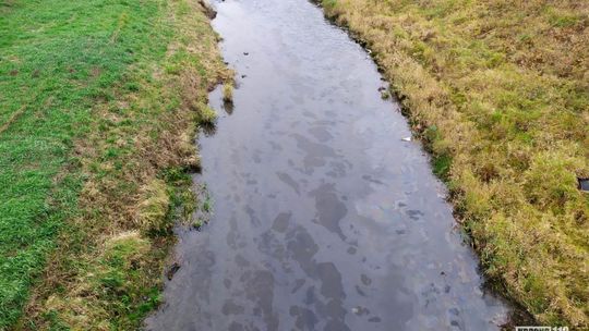 Krosno. Oleista plama na Wisłoku [AKTUALIZACJA]