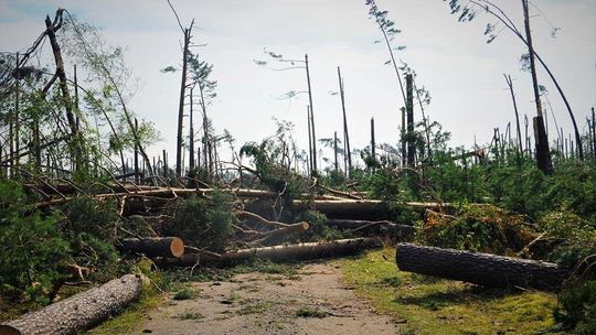 Krosno organizuje pomoc dla poszkodowanych w nawałnicach. Dołącz do akcji!