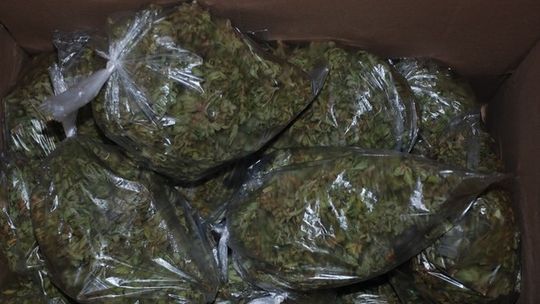 KROSNO: Policjanci zabezpieczyli 6 kg marihuany