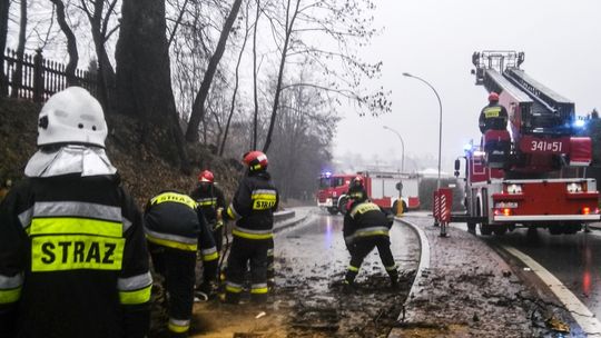 Krosno: Powalone drzewo sparaliżowało miasto