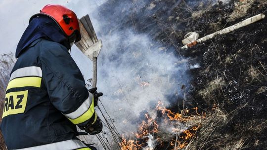 Krosno: Pożar traw przy ulicy Sikorskiego