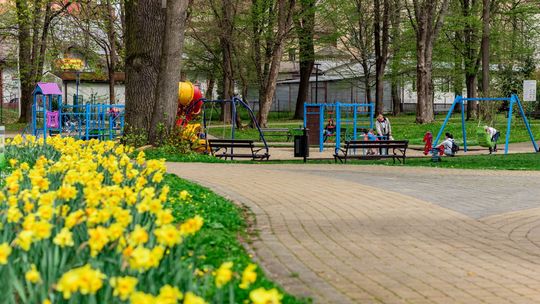 Krosno Wiosną. Wydarzenie, które budzi miasto w rytmie natury