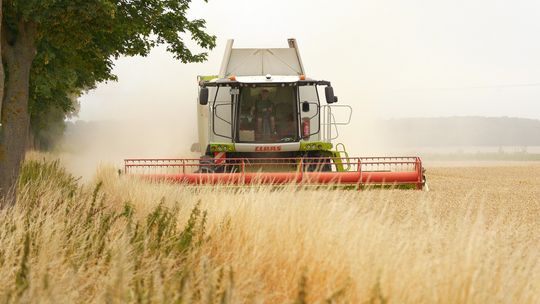 KRUS zaprasza do udziału w konkursach dla dzieci i młodzieży