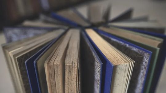 Książki i winyle z drugiego obiegu - czym jest Antykwariat Grochowski?
