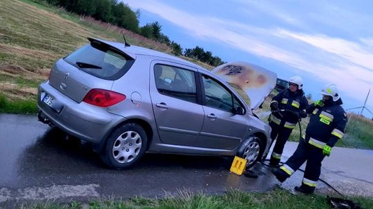 ? Łęki Dukielskie. Niedaleko farmy wiatrowej palił się samochód