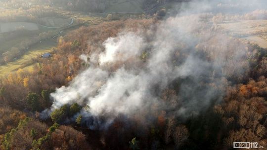 Wzrasta zagrożenie pożarowe w lasach! Podkarpaccy strażacy gasili prawie 150 pożarów lasów