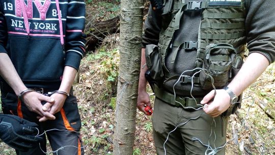 Leśnicy i policjanci złapali wnykarza. Udało się to dzięki fotopułapkom