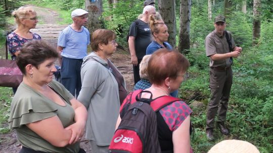 Leśnicy organizują w każdy wakacyjny czwartek spacery po iwonickim lesie