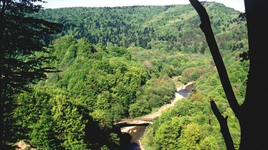 Leśnicy przygotowują ścieżkę historyczno-przyrodniczą "Doliną Osławy"
