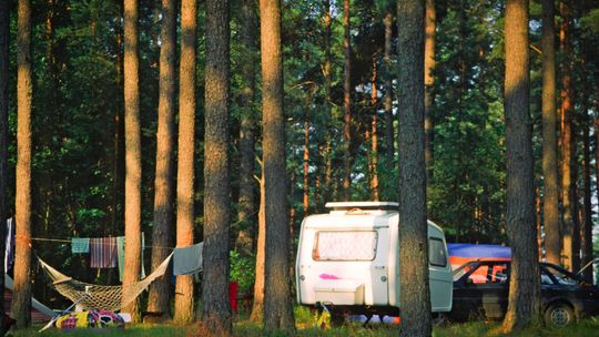 Leśnicy zebrali w jednym miejscu ofertę turystyczną nadleśnictw. Zachęcają do korzystania z serwisu