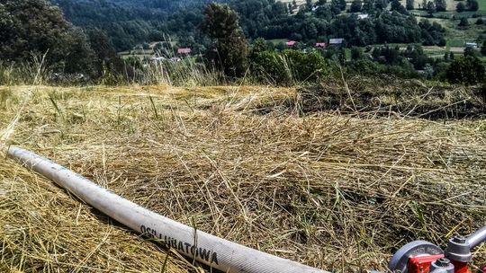 Lubatowa: Pożar łąki. To kolejne zdarzenie związane z suszą