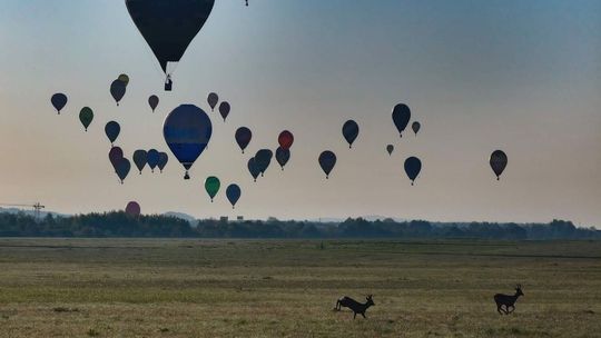 Majówka bez balonów, ale wrzesień zapowiada się spektakularnie
