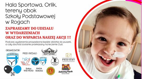 Mali i duzi zagrają dla Zuzi – wielki piknik charytatywny w Rogach