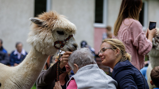 Masz pomysł na działania kulturalne w Krośnie? Wystartował konkurs grantowy