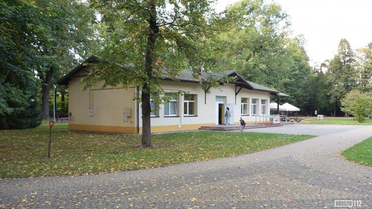 Miasto szuka wykonawcy ogrodu deszczowego. Powstanie w Ogródku Jordanowskim