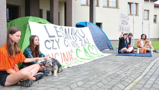 Miasto zareagowało na pikietę przed budynkiem RDLP w Krośnie