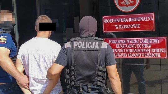 Międzynarodowy gang wyłudzania luksusowych aut rozbity