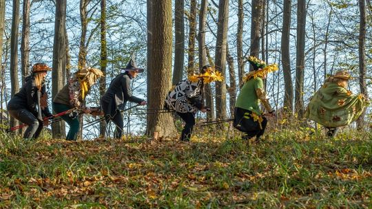 Miłośniczki nordic walking z Krościenka Wyżnego trenują w lesie i dobrze się bawią