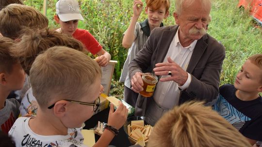 Miód z uli z recyklingu. Tegoroczne miodobranie w Zakolu Wisłoka