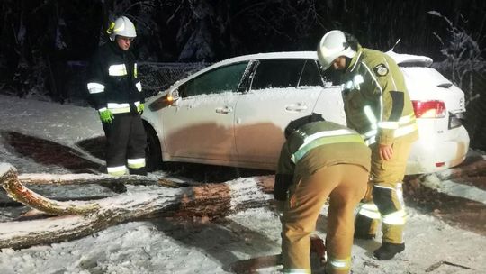 Mokry śnieg powoduje, że drzewa spadają na jezdnie, tory kolejowe i budynki. Brak prądu w wielu domostwach