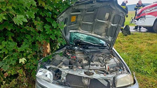 Moszczaniec. Hondą wjechał w drzewa