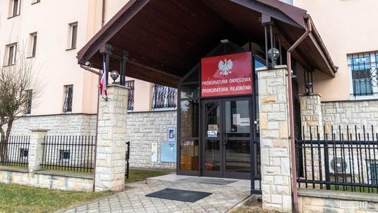 Myśliwy oskarżony o zastrzelenie wilka w Beskidzie Niskim