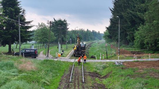 Na linii kolejowej nr 108 tory znikają błyskawicznie. Zobacz postęp prac