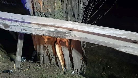 Na łuku drogi wjechał w barierki i drzewo