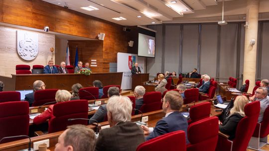 Na sesji sejmiku województwa o wstrzymaniu wycinki lasów