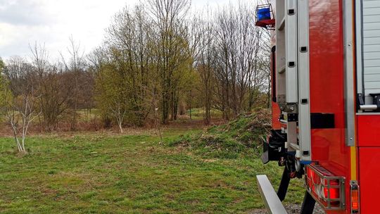 ? Na "Sztukach" przy Wisłoku ujawniono zwłoki [AKTUALIZACJA]