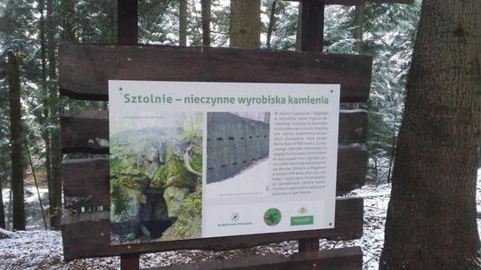 Na terenie gminy Korczyna powstała nowa ścieżka edukacyjno-przyrodnicza