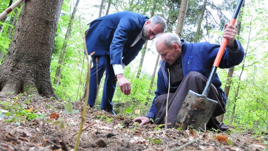 Nadleśnictwa z terenu RDLP w Krośnie włączyły się do ogólnopolskiej akcji "Łączą nas Drzewa"