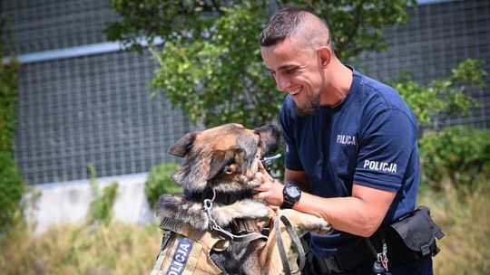 Najlepsi z najlepszych. Podkarpackie eliminacje do XXII Kynologicznych Mistrzostw Policji