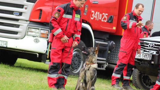 Najlepsze zawody 2026. Są poszukiwane i dobrze płatne