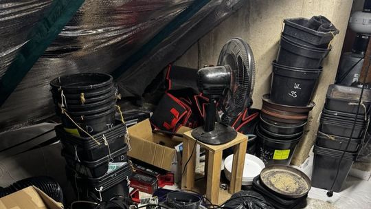 Narkotyki w mieszkaniu 31-latka. W akcji policjanci z Krosna i Kielc