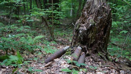 ? Niewybuchy na terenie Nadleśnictwa Dukla