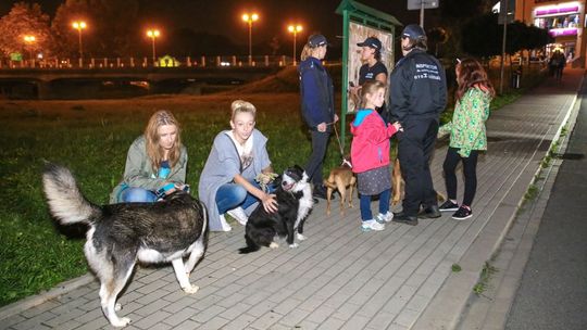 Nocni kierowcy zebrali karmę dla podopiecznych OTOZ Animals Krosno