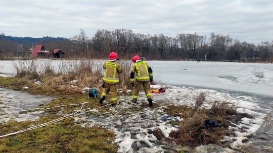 O krok od tragedii... Pod wędkarzami załamał się lód