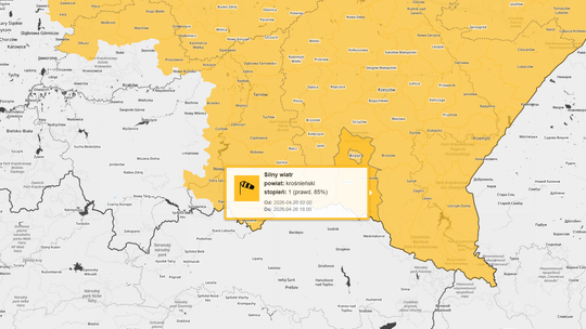 Ostrzeżenie IMGW: silny wiatr nad regionem