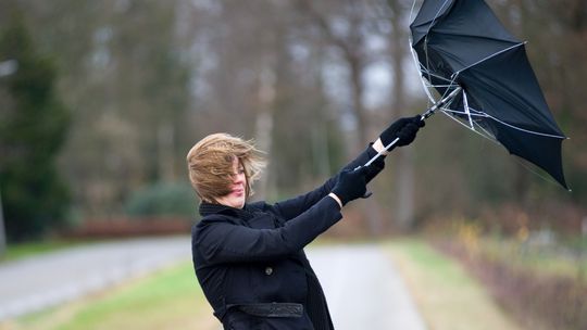 ? Ostrzeżenie METEO: W piątek silny wiatr. Porywy do 80 km/h