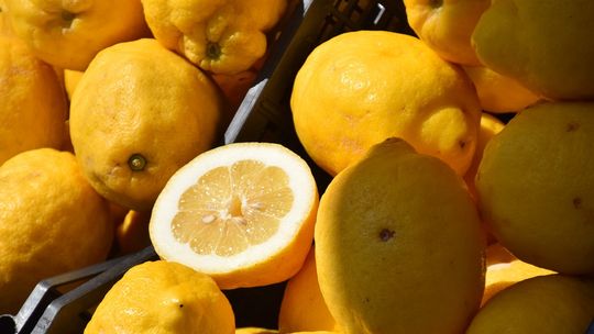 Owoce południowe - jak wybierać świeże produkty z dostawą online