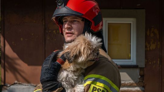 Pies zamknięty w jednym z domów w Krościenku Wyżnym. Od kilku dni pozbawiony był opieki