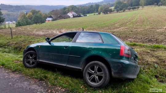 Pietrusza Wola. Kierujący Audi wjechał do rowu, dwie osoby potrzebowały pomocy