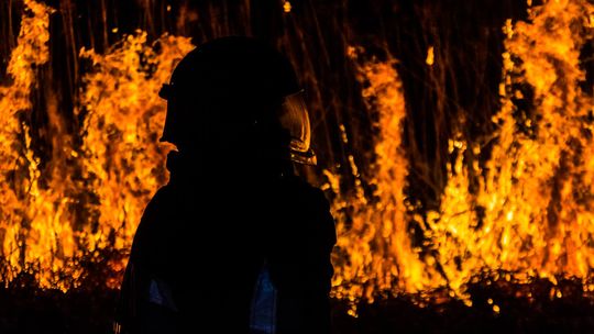 Płoną lasy, bo jest sucho i wietrznie. Strażacy apelują o zdrowy rozsądek