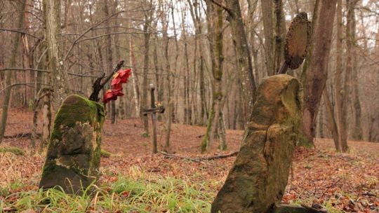 Podkarpaccy leśnicy uporządkowali leśne groby