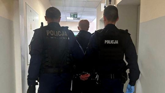 Podkarpacie. Tymczasowy areszt dla 38-latka za znęcanie się nad psem