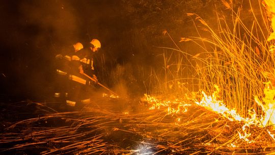 Podpalacze traw na celowniku. Kary zostały zaostrzone